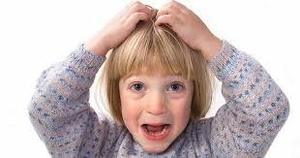 Lice Outbreak Alert from School Nurse